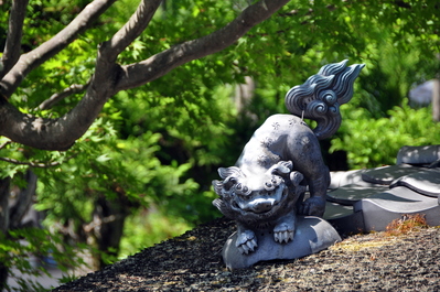 On the walk to Adashino Nenbutsu-ji
