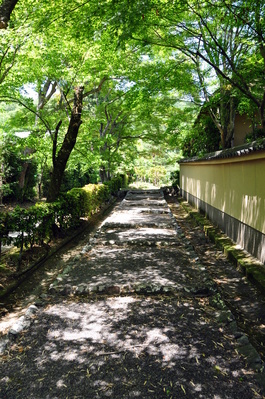 On the walk to Adashino Nenbutsu-ji