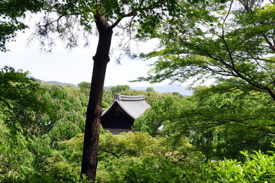 In the gardens of Tenryū-ji Temple