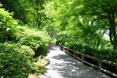 In the gardens of Tenryū-ji Temple