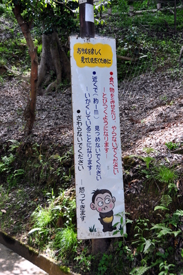 On the hike up to the monkey park