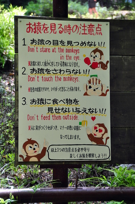 On the hike up to the monkey park