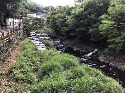 Walking through Hakone