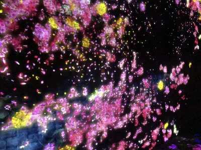 At teamLab Borderless