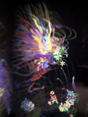 At teamLab Borderless