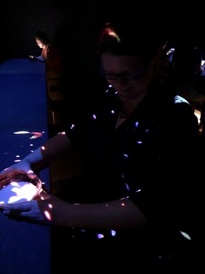 At teamLab Borderless Tea House
