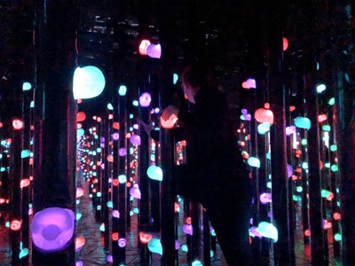 At teamLab Borderless