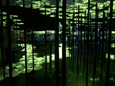At teamLab Borderless