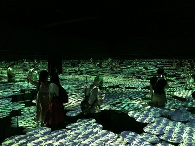 At teamLab Borderless
