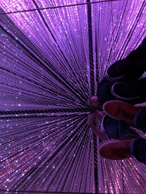 At teamLab Borderless