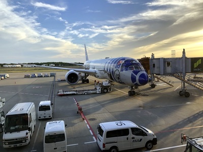 The real plane!!