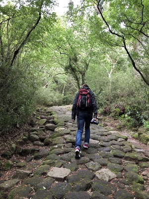 The Old Tōkaidō Road