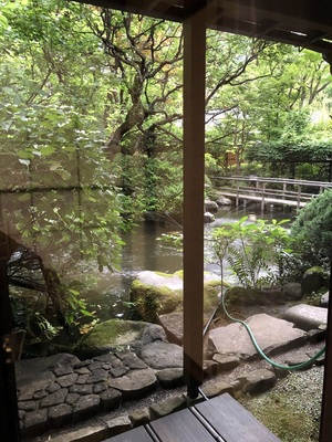 View of the gardens