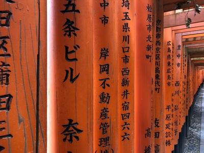Torii at Fushimi Inari-taisha