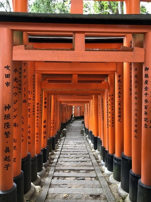 Torii at Fushimi Inari-taisha