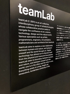 At teamLab Borderless