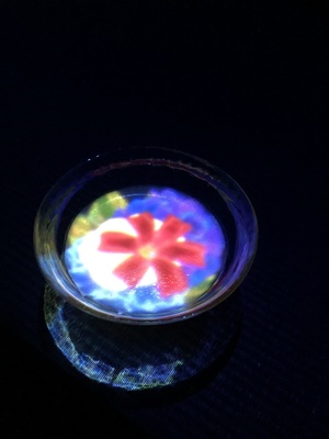 At teamLab Borderless Tea House