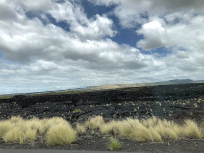 Driving to the Fairmont Orchid