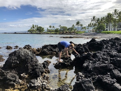 Tide-pooling