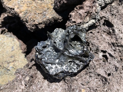 Fun rock in Kīlauea Iki Crater