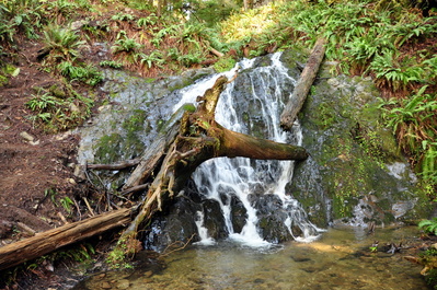 Waterfall at the end of Boy Scout Tree trail