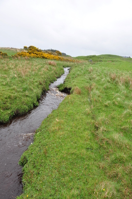 Stream at Finlaggan