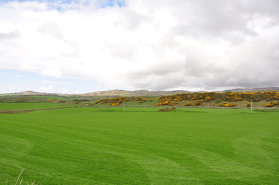 Countryside on the walk back from Ardbeg