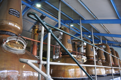 Laphroigian army of stills