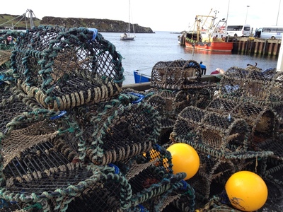 Traps on the dock while waiting for the ferry
