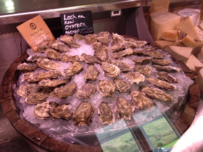Oysters!