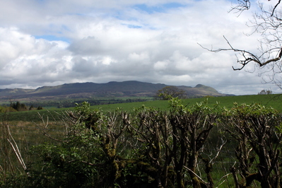 Country-side
