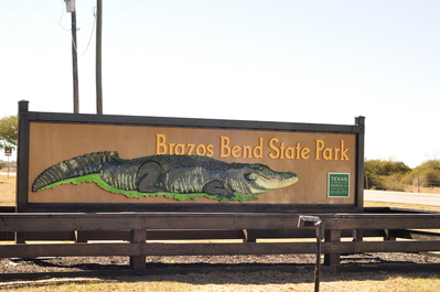 Entering alligator-town