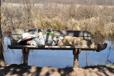 Rob napping