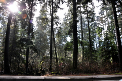 Driving out of Vancouver