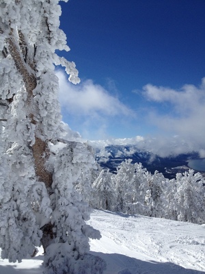 Winter!