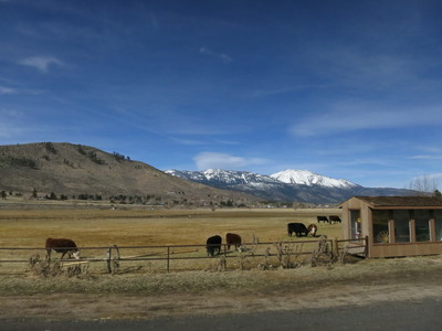 Ranch in between Carson City and Reno