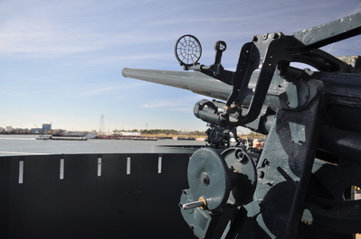 Gun