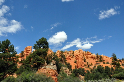 Entering Bryce Canyon National Park