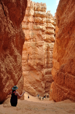 In Bryce Canyon