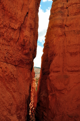 In Bryce Canyon