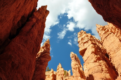 In Bryce Canyon