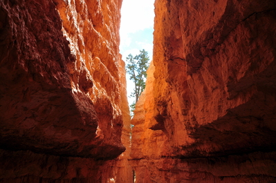 In Bryce Canyon