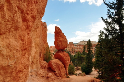 In Bryce Canyon