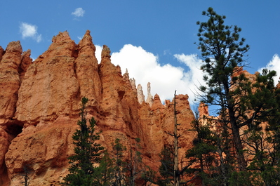 In Bryce Canyon