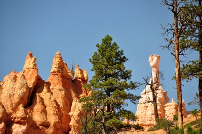 In Bryce Canyon