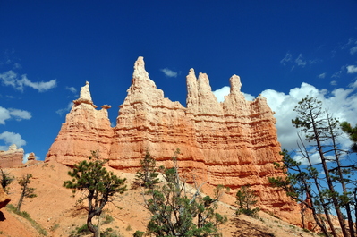 In Bryce Canyon