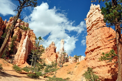 In Bryce Canyon