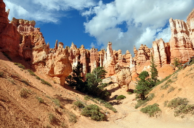 In Bryce Canyon