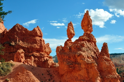 In Bryce Canyon