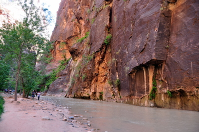 Hiking up the Narrows